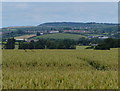 View north towards Thornton and Bardon Hill