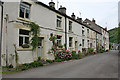 Cottages at Litton Mill