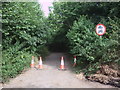 Disused road, near Nunney Catch