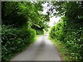 Nuns Walk at the 81 metre spot height