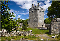 M2837 : Castles of Connacht: Annaghdown, Galway (3) by Mike Searle