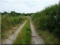 SU4545 : Farm track running east from Nun's Walk by Christine Johnstone