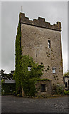 M3430 : Castles of Connacht: Cloonacauneen, Galway (2) by Mike Searle