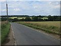 Road to Lower Pond Street