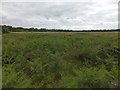 The Fens, west of Thorpeness