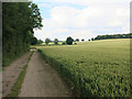 Footpath from Stickling Green