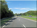 A31 west of Neatham Down