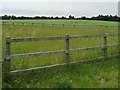 Fenced meadow, north side of Hunton Down Lane