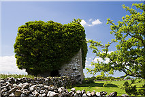 M5016 : Castles of Connacht: Ballylin, Galway (1) by Mike Searle