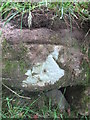 Ordnance Survey Cut Mark