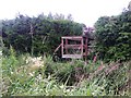 A viewing platform over the Tarland Burn