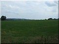 Grazing, Chipperlee Farm