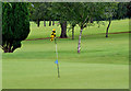 J3977 : Golf course, Holywood (July 2014) by Albert Bridge