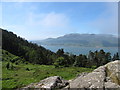 J1915 : Carlingford Lough from the slopes of Slievemeel by Eric Jones