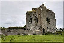 M8711 : Castles of Connacht: Longford, Galway (1) by Mike Searle