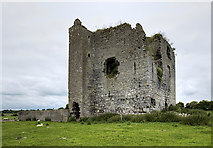M8711 : Castles of Connacht: Longford, Galway (2) by Mike Searle