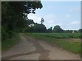 Bridleway by The Shrubberies near Coddenham