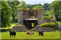 M8952 : Castles of Connacht: Longfield, Roscommon by Mike Searle