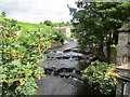 The River Bain at Bainbridge