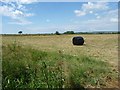 ST4232 : Baled hay, King's Sedge Moor by Christine Johnstone