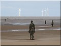 SJ3098 : Iron men on Crosby Beach at low tide by Neil Theasby