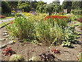 Flowers in Barham Park