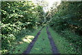 Bridleway at Baylis Wood