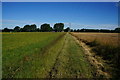 Bridleway towards Clarkes Common Farm