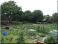 Allotments off Uttoxeter New Road