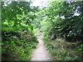 Gateway from Brecks Plantation