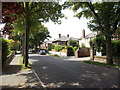 Leafy suburb in Dorchester