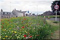 Entering Forfar from Kirriemuir to a Beautiful wild flower display