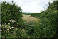 Overgrown gateway near Trudnoe Farm