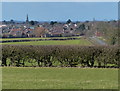 View towards Wigston Harcourt