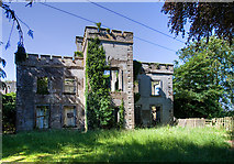 N4239 : The ruins of Newcastle House, Co. Westmeath by Mike Searle