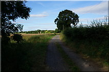 SE6850 : Kexby Stray (track) towards White Carr Farm by Ian S