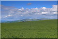 Cae mawr uwchben Llandre / Large field above Llandre