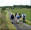 Heol Ffarm Penygarreg Farm Road