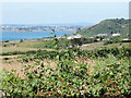 Wembury: towards Staddon Heights