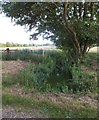 Stream and drainage ditch near Fowls Watering, Wickham Market