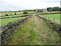 Sowerby Bridge Footpath 78 in a walled lane