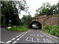 Railway bridge, Virginia Water