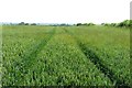 Arable field near Rousham