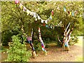 Yarn Bombing, Moorside Park