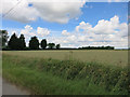 Field near Herkstead Hall Farm