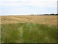 NU1526 : Arable field near Binsal Hill by Graham Robson