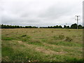 M6992 : Farmland near Churchstreet by David Purchase