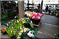NY9364 : Hexham Flower Market by Peter Skynner