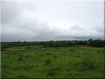 M4472 : Country near Tulrohaun by David Purchase