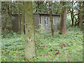 Ex-RAF building amongst the trees